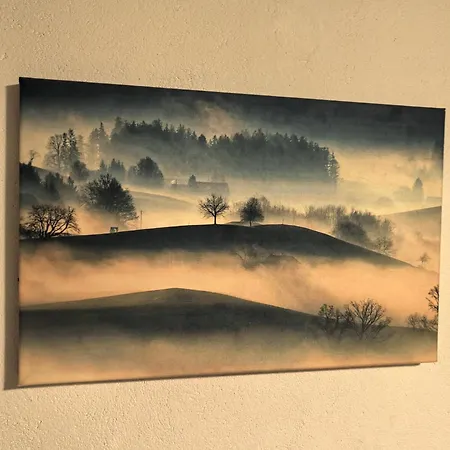 къща томови ديفين