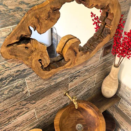 بيت ضيافة къща томови *