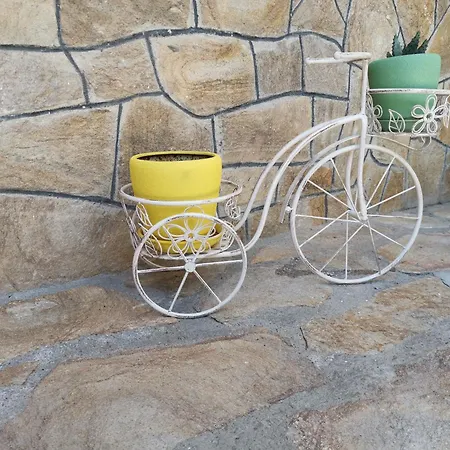 къща томови ديفين