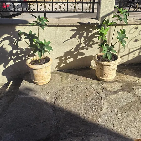 بيت ضيافة къща томови