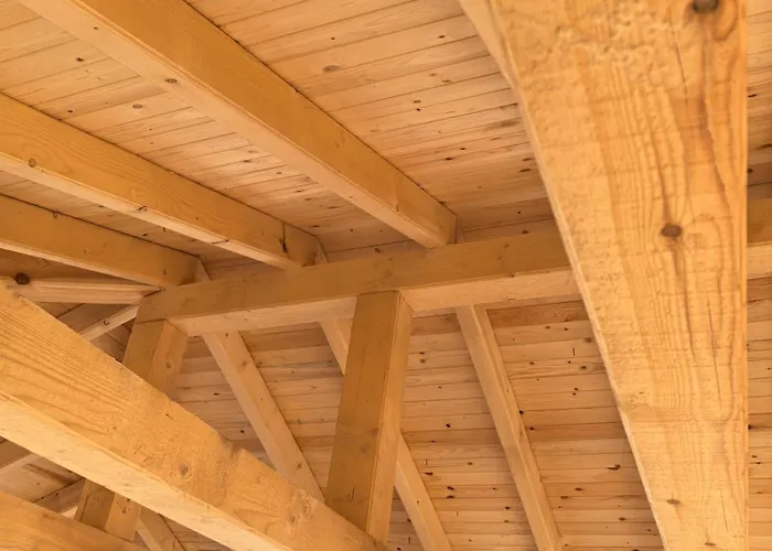 Gasthuis къща томови *