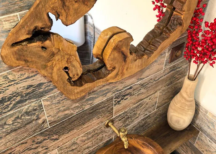 Gasthuis къща томови *