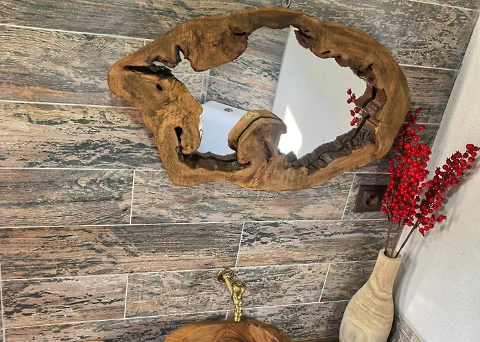 Gasthuis къща томови *