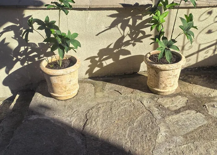 Gasthuis къща томови